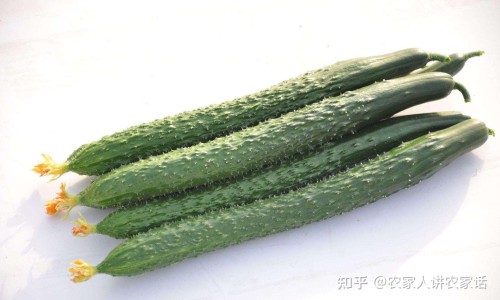 牛黄清心片和醒脑牛黄清心片一样吗-醒脑牛黄清心片说明书-专业醒脑牛黄清心丸的功效与作用平台-牛黄醒脑丸说明书